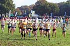 Womens under-17s Northern Cross Country Relays. Photo: David T. Hewitson/Sports for All Pics